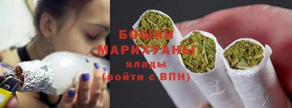 шишки Козловка