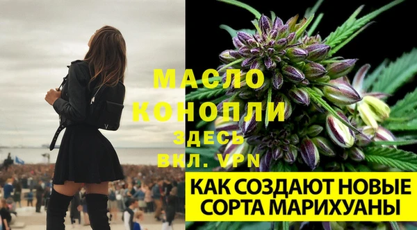 первитин Костерёво