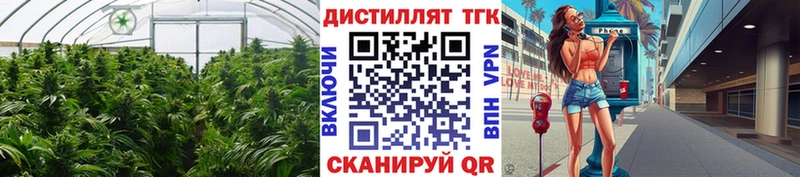 ТГК жижа  хочу наркоту  omg маркетплейс  Котово 