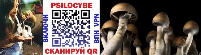 Галлюциногенные грибы Psilocybine cubensis  Котово 